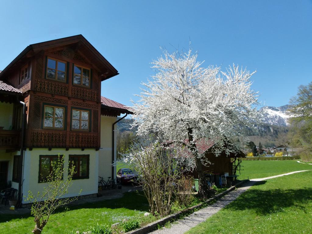 Apartament Haus Puntigam Bad Goisern Zewnętrze zdjęcie